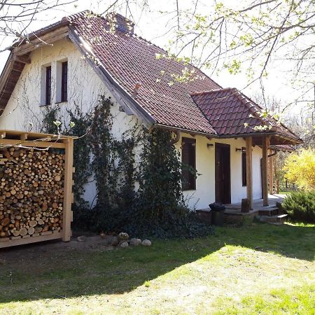 Dom Kolo Rewala Villa Paprotno Ngoại thất bức ảnh